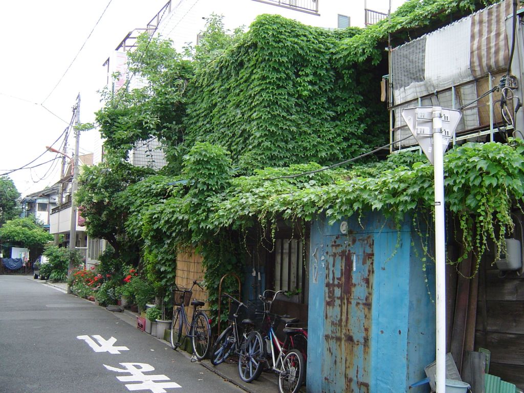 ツタの家 東京の路地